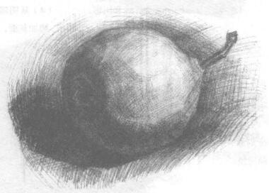 梨子素描画法