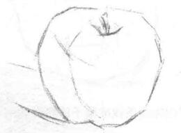 苹果的素描画法步骤02