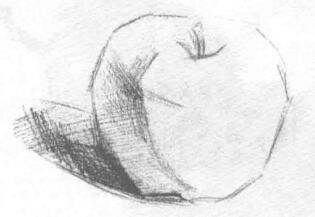 苹果的素描画法步骤03