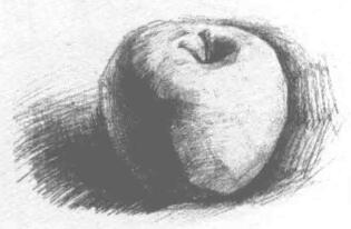 苹果的素描画法步骤04