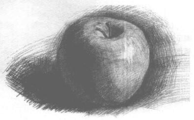 苹果素描画法