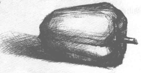 青椒的素描画法步骤04
