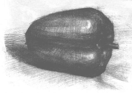 青椒素描画法（一）