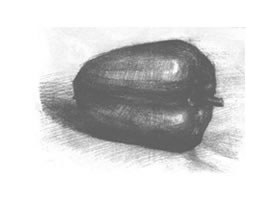 青椒素描画法（一）