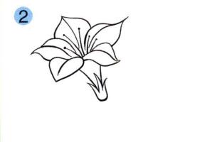 杜鹃花儿童画画法步骤02