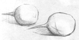 萝卜素描画法步骤02