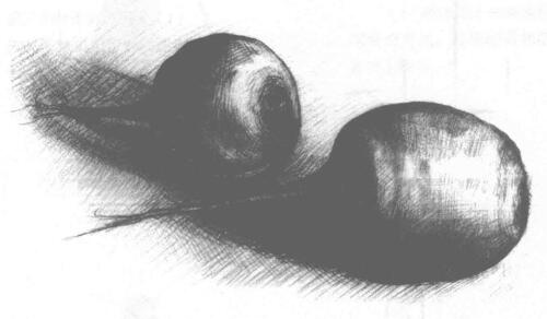 萝卜素描画法