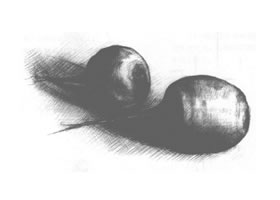萝卜素描画法