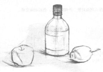 瓶子和水果组合素描画法步骤02