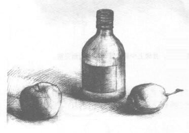瓶子和水果组合素描画法步骤04