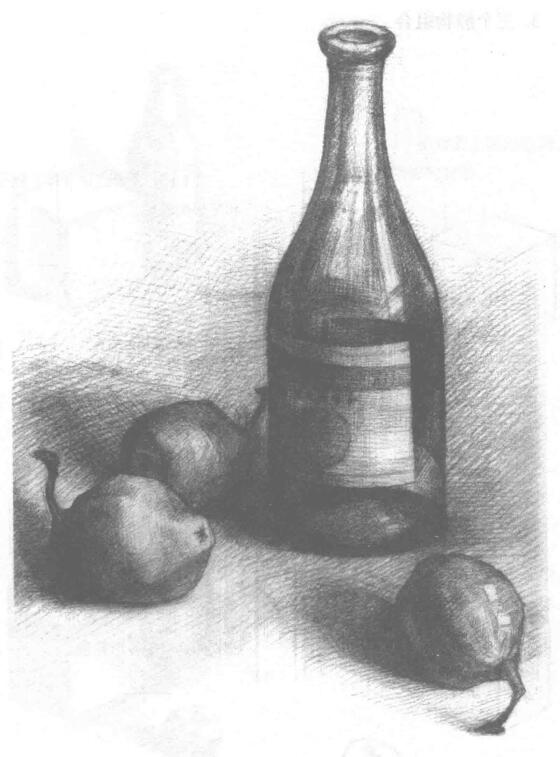 瓶子和梨子素描画法