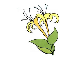 金银花儿童画