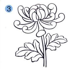 菊花的儿童画画法步骤03