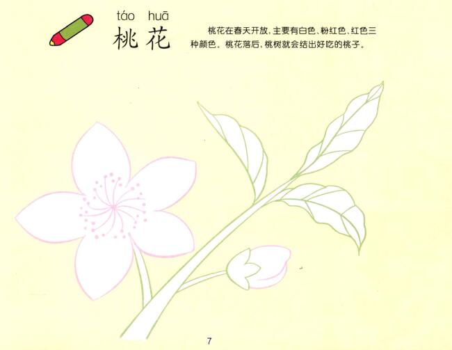 桃花儿童画