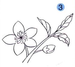 桃花儿童画画法步骤03