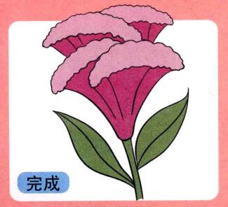 鸡冠花儿童画