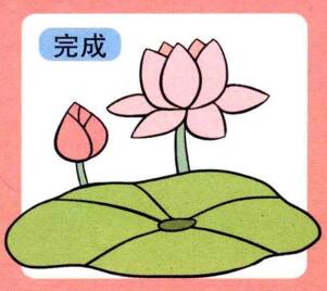 荷花儿童画画法步骤04