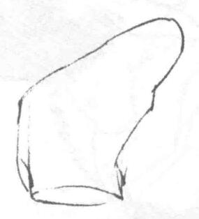 猫的素描画法步骤01