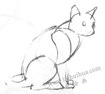 猫的素描画法步骤02