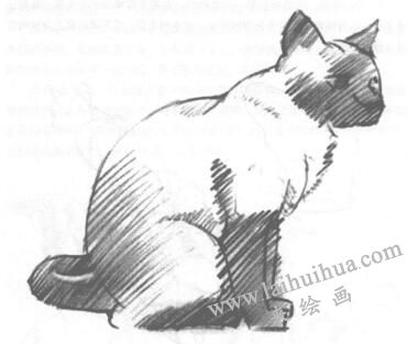 猫的素描画法