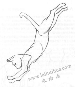 素描猫