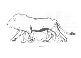 如何素描行走狮子？