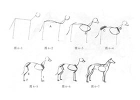 动物素描的绘制步骤