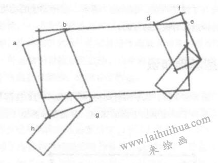 动物体形素描
