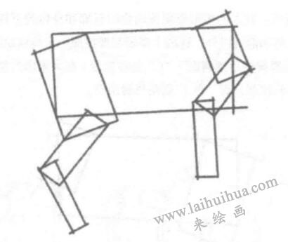 动物体形素描01