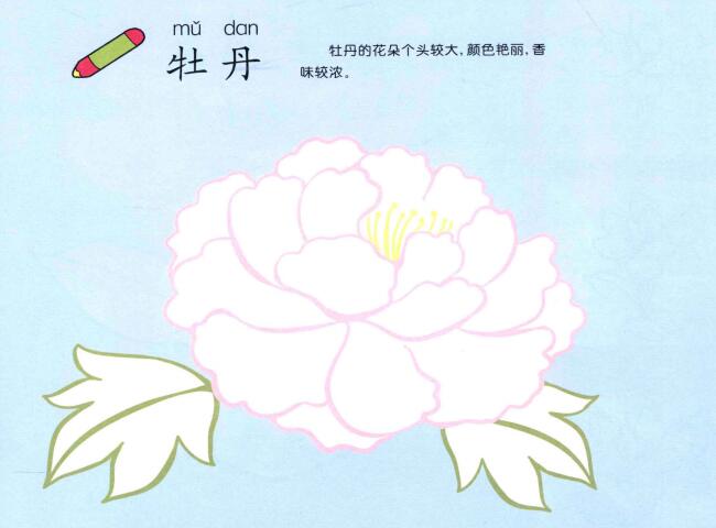 牡丹花儿童画