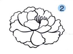 牡丹花儿童画画法步骤02