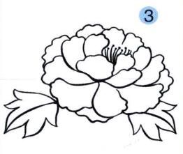 牡丹花儿童画画法步骤03