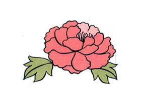 牡丹花儿童画