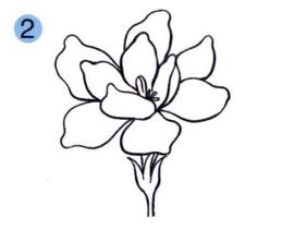 栀子花儿童画画法步骤02