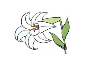 百合花儿童画