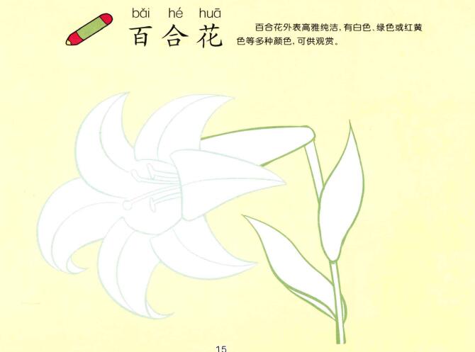 百合花儿童画