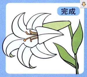 百合花儿童画