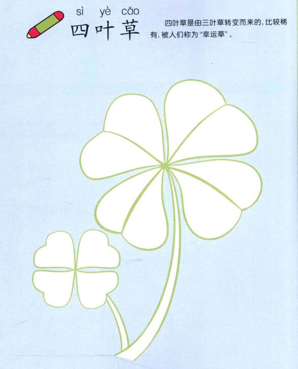 四叶草儿童画