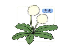 蒲公英儿童画