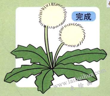 蒲公英儿童画