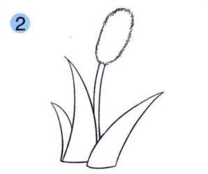 狗尾巴草儿童画画法步骤02