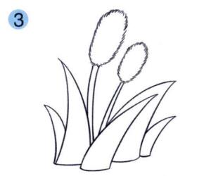 狗尾巴草儿童画画法步骤03