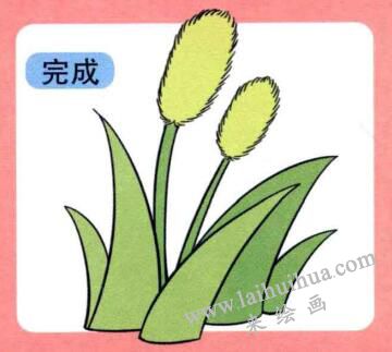 狗尾巴草儿童画