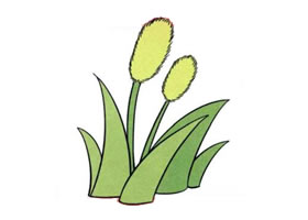 狗尾巴草儿童画