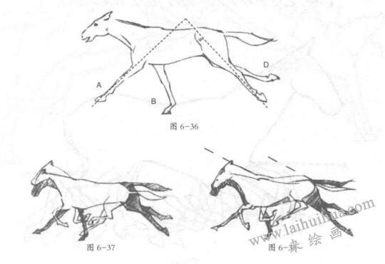 奔跑的马的画法