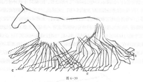 奔跑的马的画法01