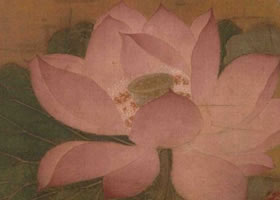 《出水芙蓉图》赏析