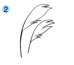 芦苇儿童画画法步骤02