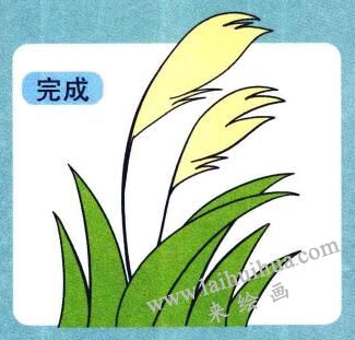 芦苇儿童画