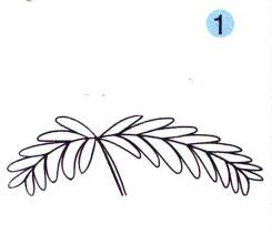 含羞草儿童画画法步骤01